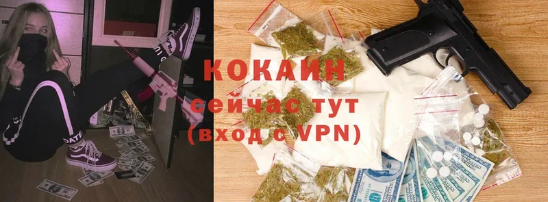 Cocaine FishScale  Артёмовск 